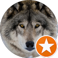 Mio Wolf