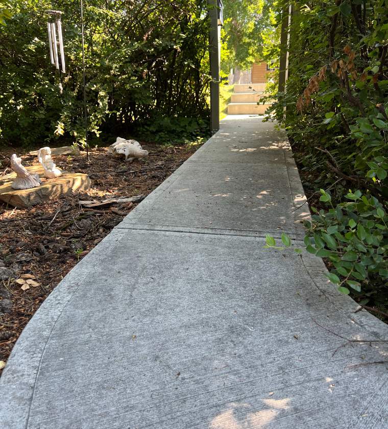 Before Pressure Washing